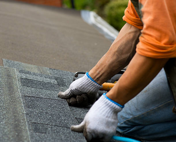 Professional Roofing Contractor in Waterville, OH