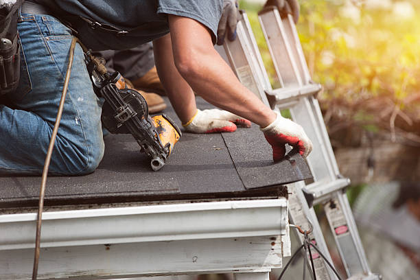 Best Flat Roof Repair Services  in Waterville, OH