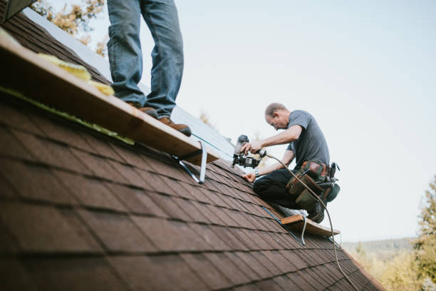 Best Emergency Roof Repair  in Waterville, OH
